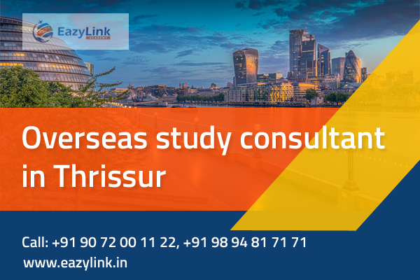  Overseas Study Consultant