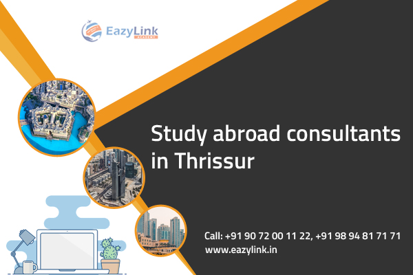 Study Abroad Consultancy 